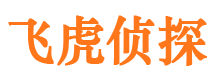 清镇市侦探调查公司